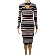 Almost Famous Bodycon Sweater Dress