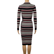 Almost Famous Bodycon Sweater Dress