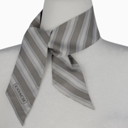 Coach Silk Skinny Scarf / Twilly – Gray Signature Print & Stripe Reversible