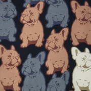 LuLaRoe Women's French Bulldog Leggings Size TC